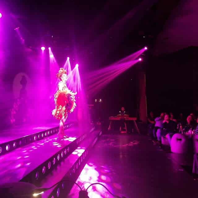 Foro Stelaris