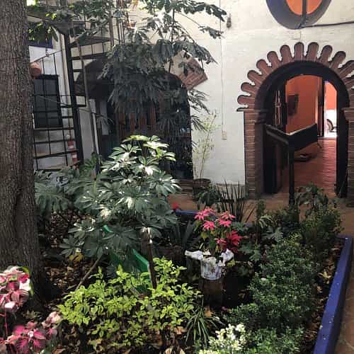 Charming courtyard restaurant venue for boutique cocktail hours and private luncheons.