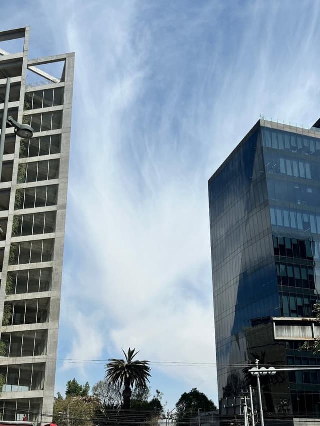 11th floor