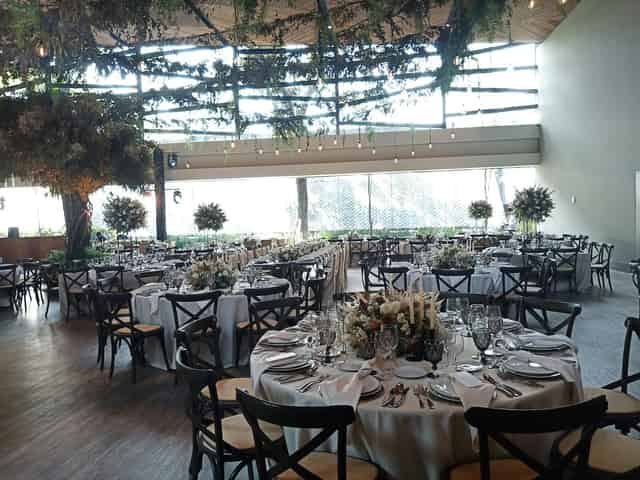 Bodas