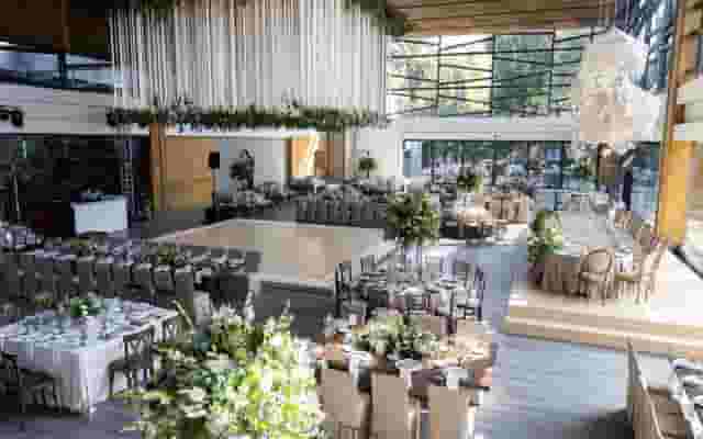 Bodas