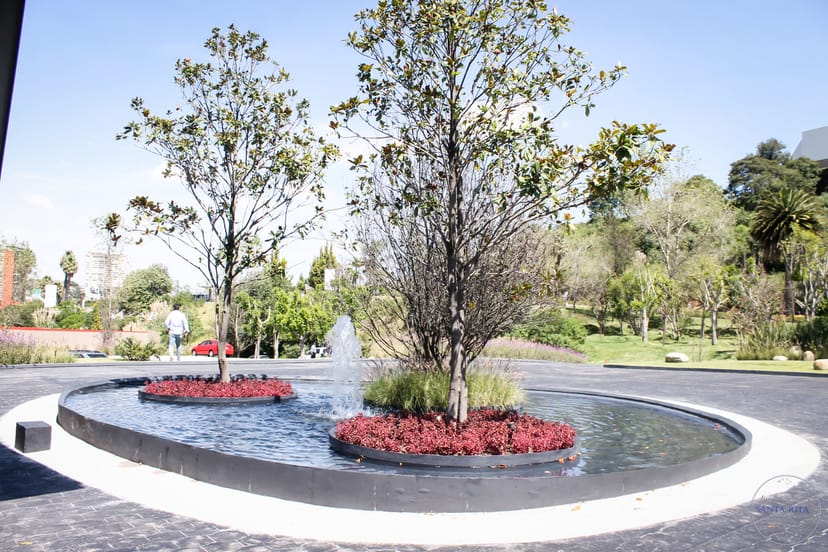 Elegant porte-cochère at Altto San Ángel for luxury wedding and event venue photography.