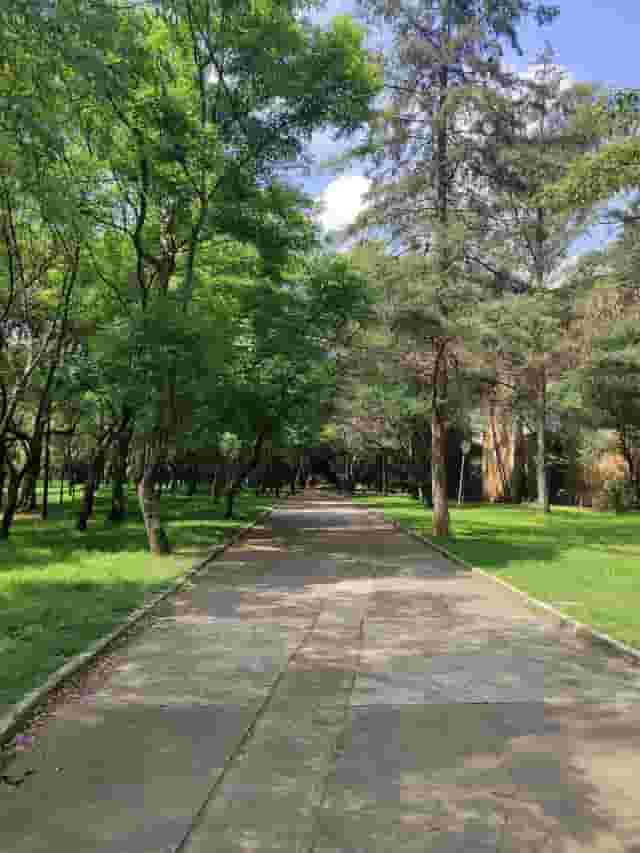 Exposiciones