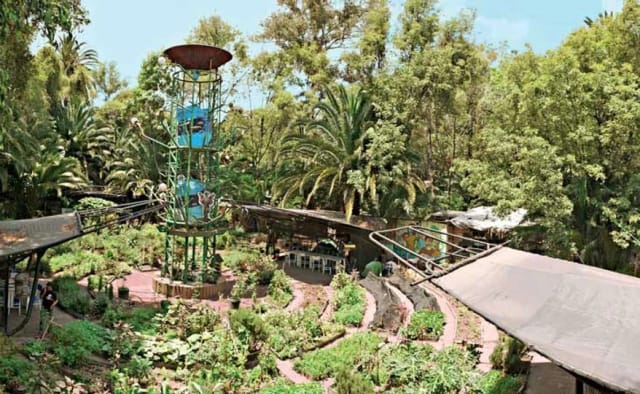 Huerto Roma Verde outdoor amphitheater for corporate receptions and creative event venue.