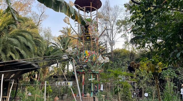 Huerto Roma Verde outdoor orchard venue for event planning and garden weddings.
