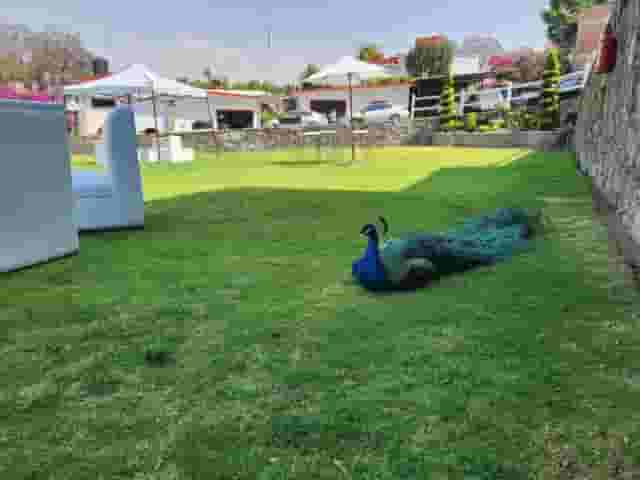 Jardín para eventos