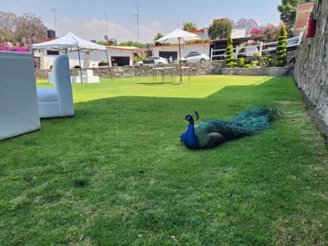 Jardín para eventos