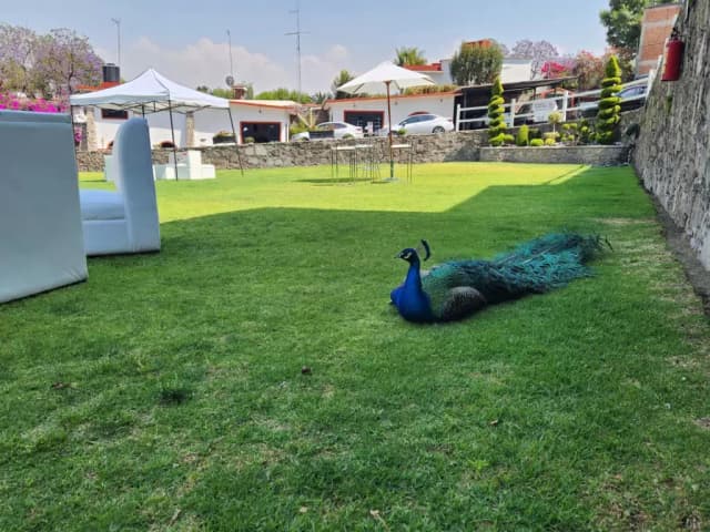 Jardín para eventos