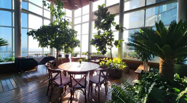 Terraza