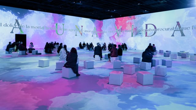 Frida Kahlo immersive exhibition hall with minimalist cube seating for experiential event design.