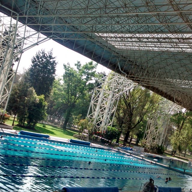 Swimming pool
