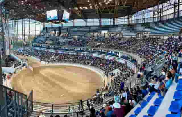 Arena