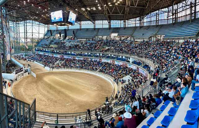 Arena