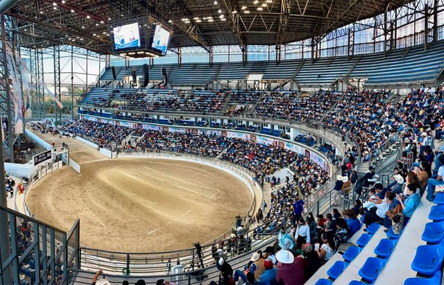Arena