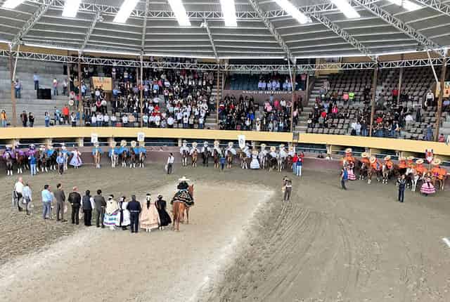 Arena