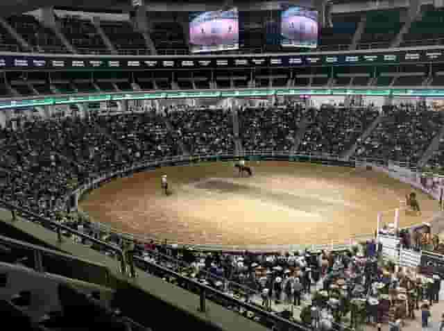 Arena