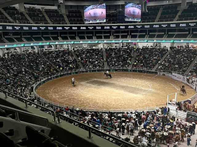Arena
