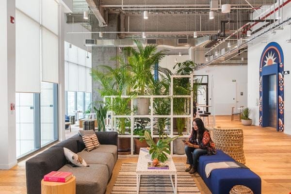 Biophilic coworking breakout space for professional networking and brainstorming events.
