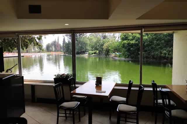 Outdoor Patio