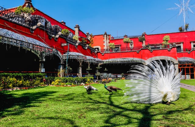 Luxury garden banquet hall at Antigua Hacienda de Tlalpan for upscale outdoor wedding events.