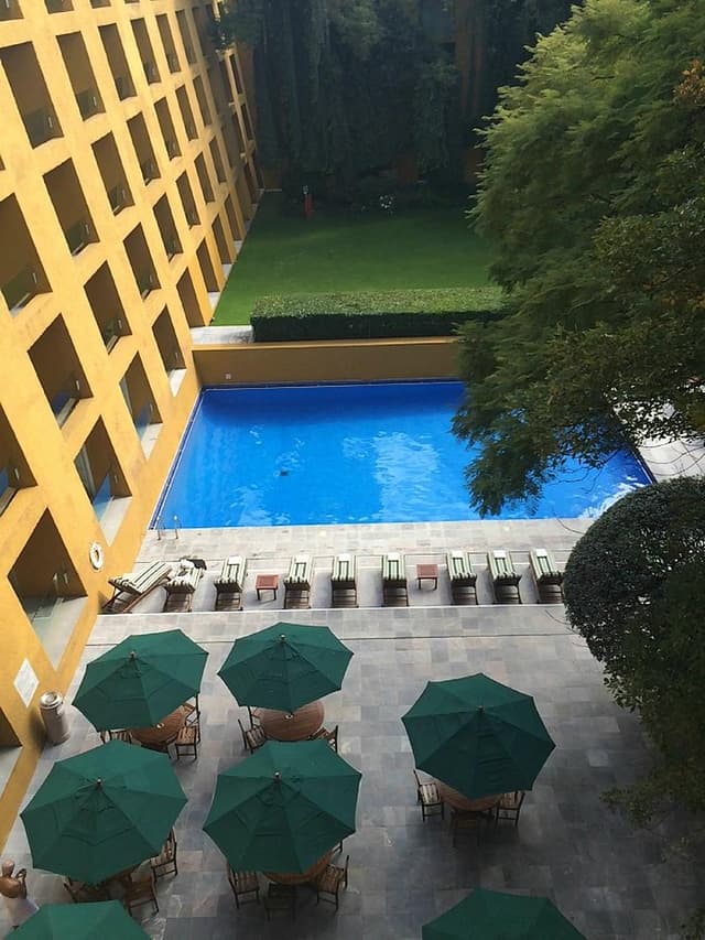 Natural Pool