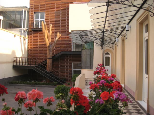 academy