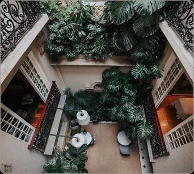 Nima Local House | Boutique Hotel in Mexico City