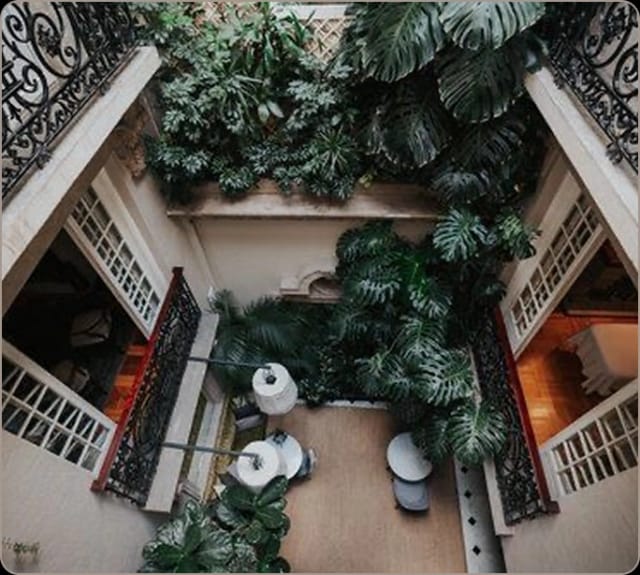 Nima Local House courtyard: intimate landscaped atrium for private networking and small meetings.