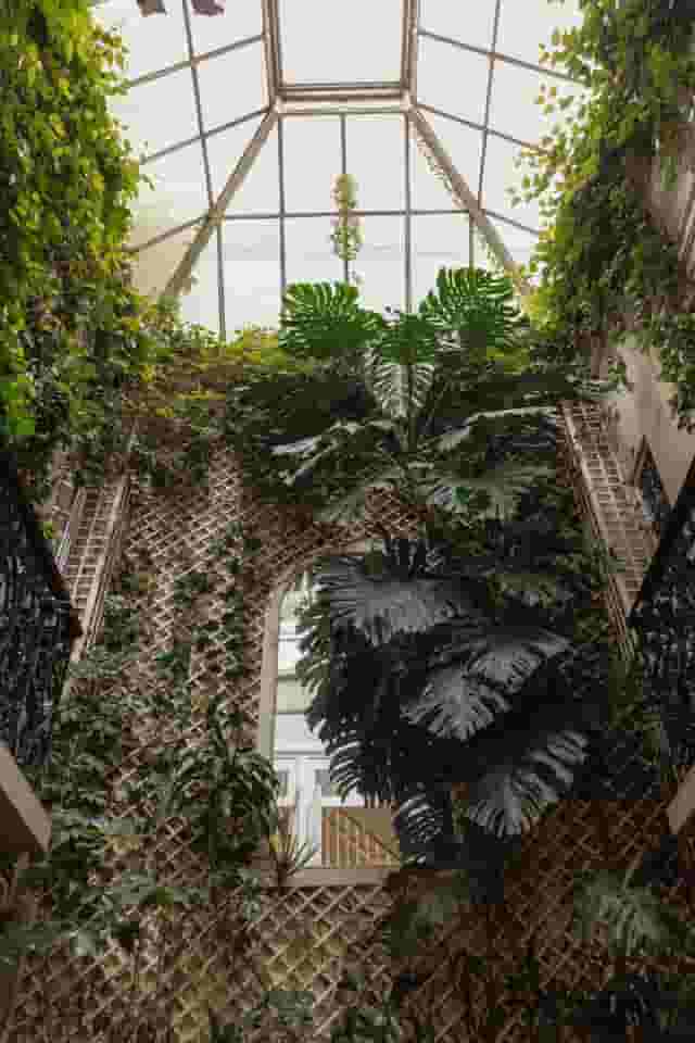 Rooftop terrace