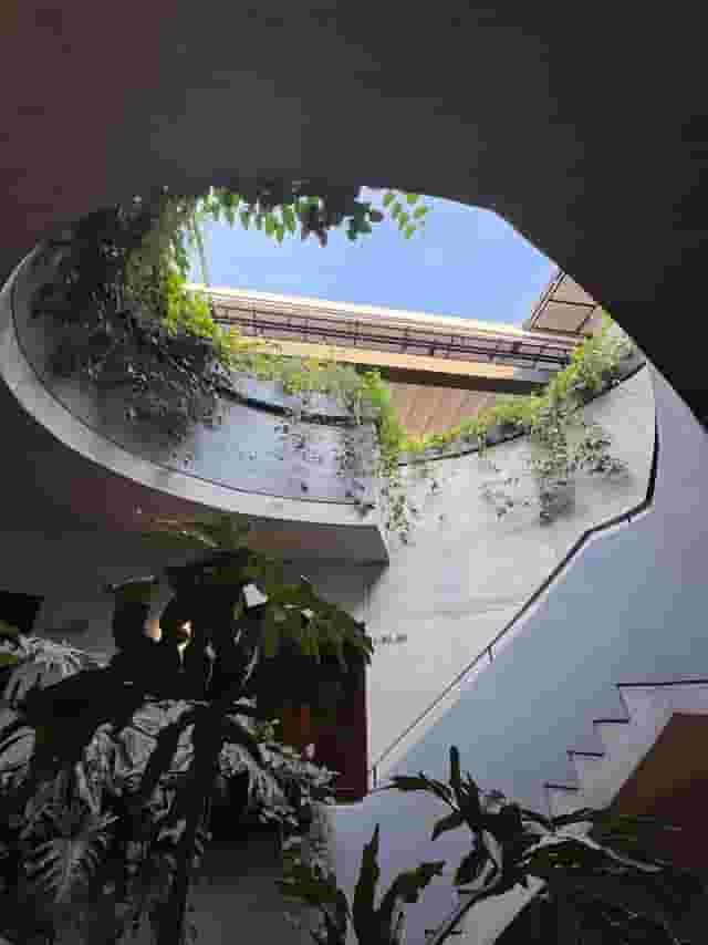 rooftop