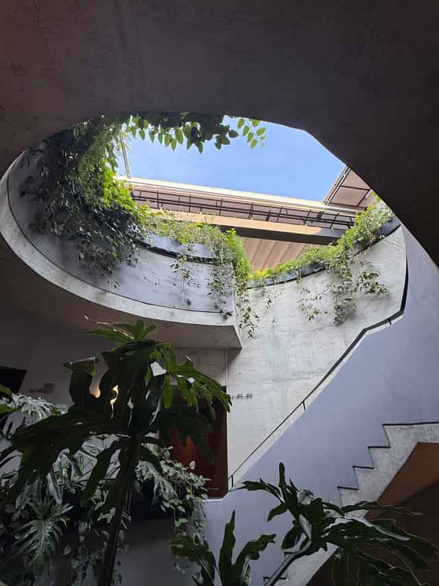 rooftop