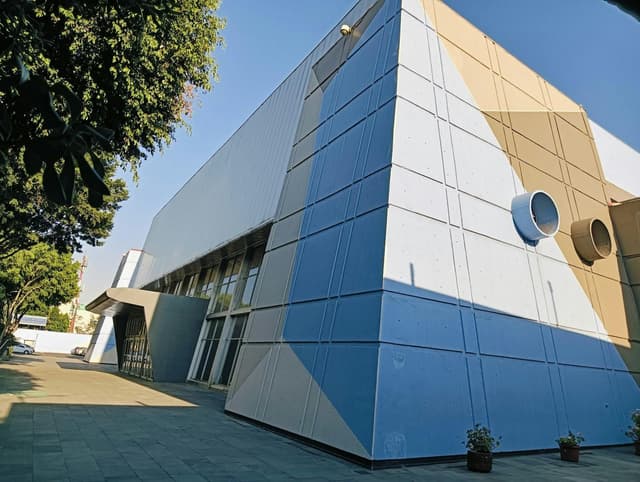 Andrea Palma Hall