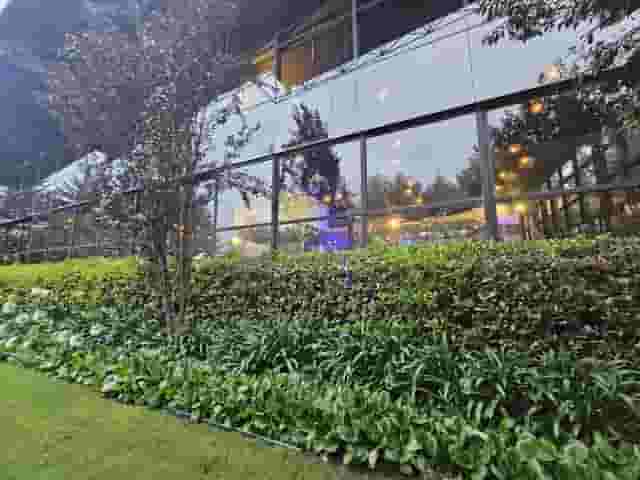 Lounge Los Cedros