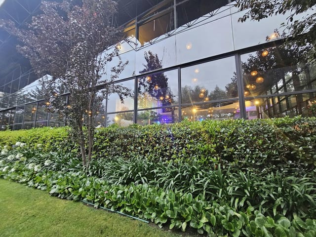 Lush, sunlit Jardín Los Cedros terrace for sophisticated evening receptions and corporate mixers.