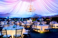 Summer Party Venues