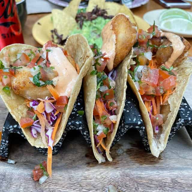 Bar & grill