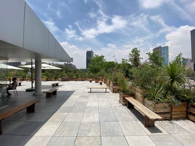 Central Patio