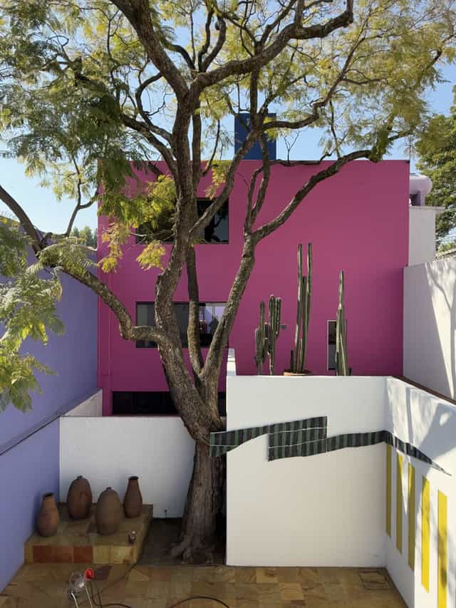 Art gallery in Guadalajara with bold architecture for brand activation and networking events.