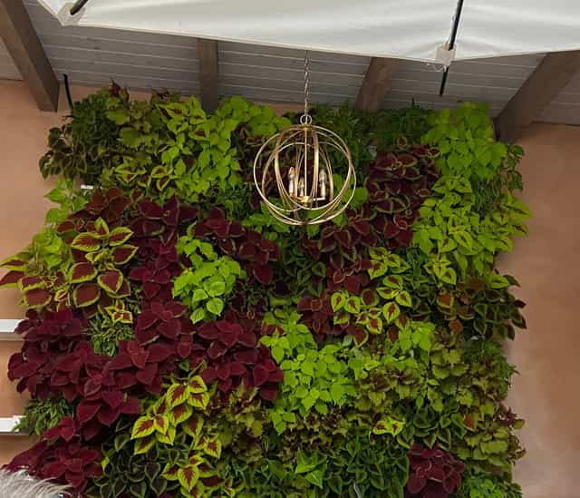 Courtyard at Santacafe with green wall and gold chandelier for luxury events and photo ops.