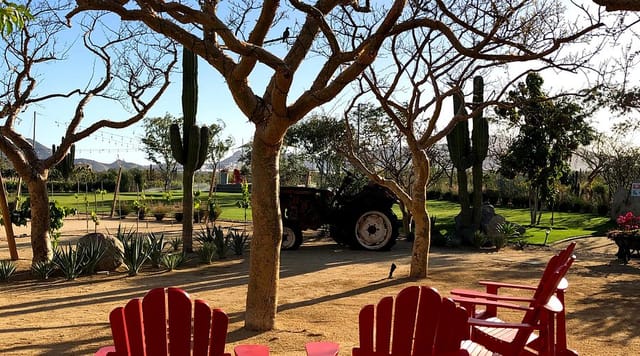 Rustic outdoor bar at El Huerto for team-building events and casual fireside chats.