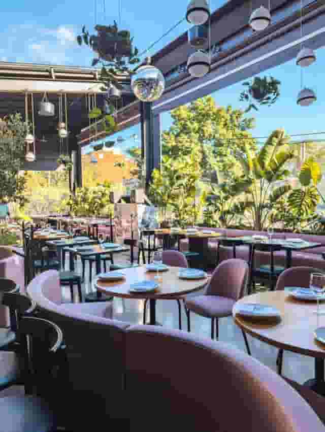 Rooftop Bar