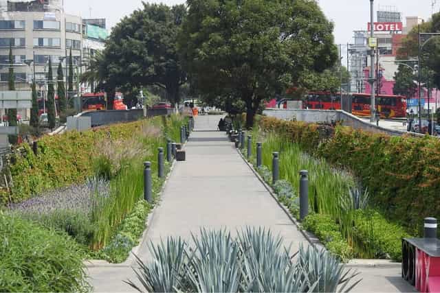 Pedestrian park corridor with lush greenery for corporate event breakout and outdoor networking.