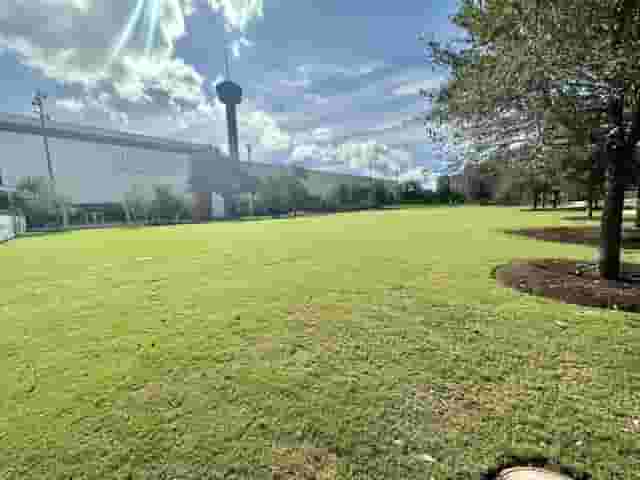 The Great Lawn