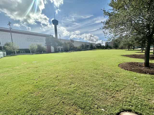 The Great Lawn
