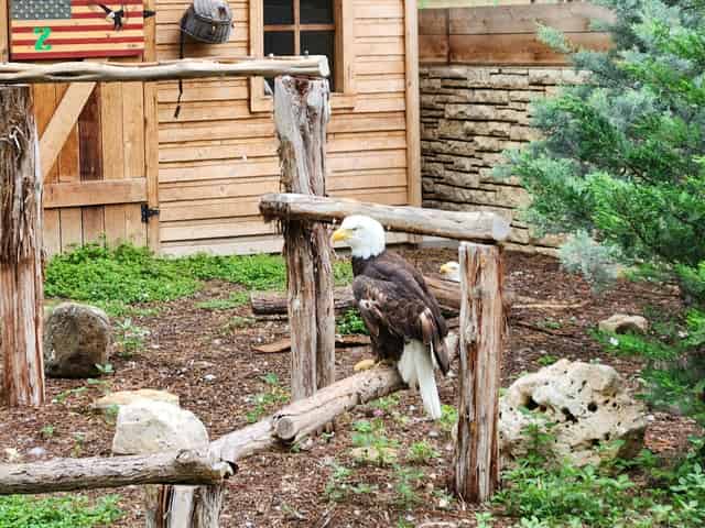 San Antonio Zoo