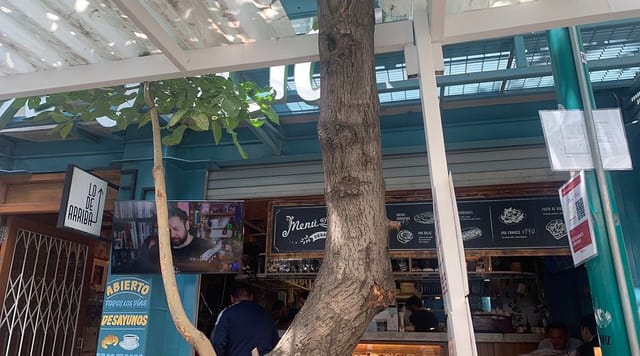 Tree obstruction in Lo de Julio restaurant interior, poor site layout and venue wayfinding.