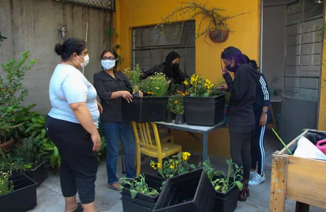 Outdoor team-building workshop at Casa Gallina education center for experiential learning.