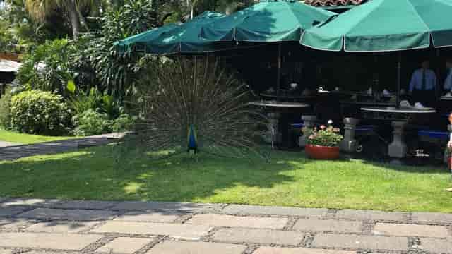 High-end outdoor banquet hall in Las Mañanitas for boutique wedding and corporate event venue.