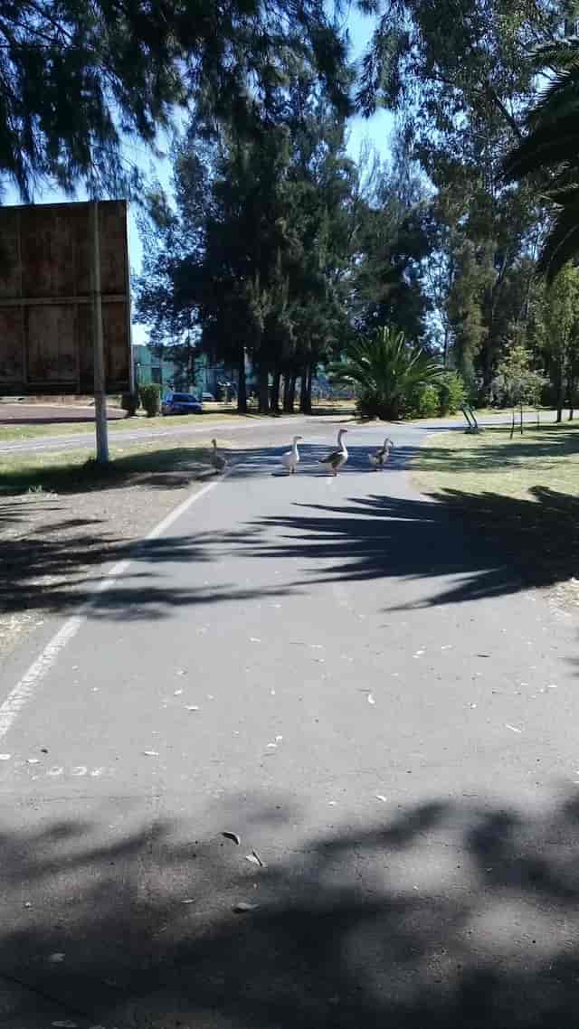 FARO Tláhuac performance area site inspection with crowd obstruction for event logistics.