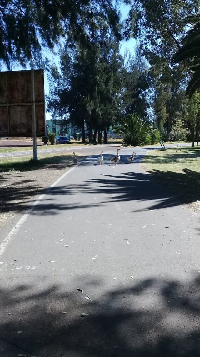 Performance Area